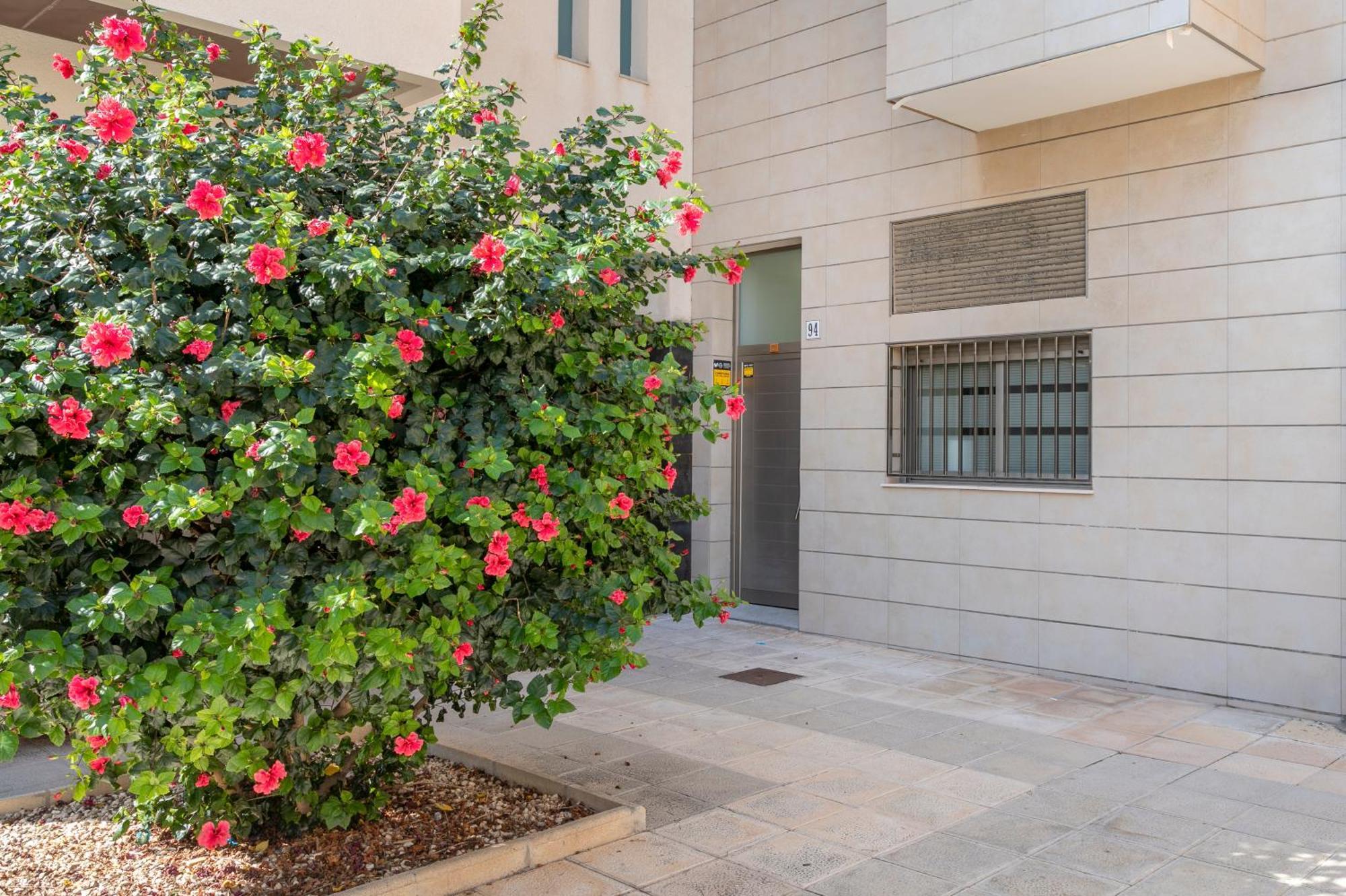 Appartement La Casita De Mauro à El Campello Extérieur photo